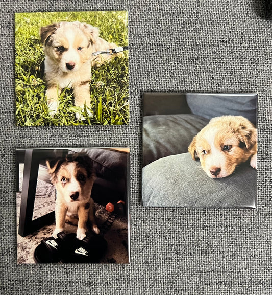 3x Custom Photo Magnets