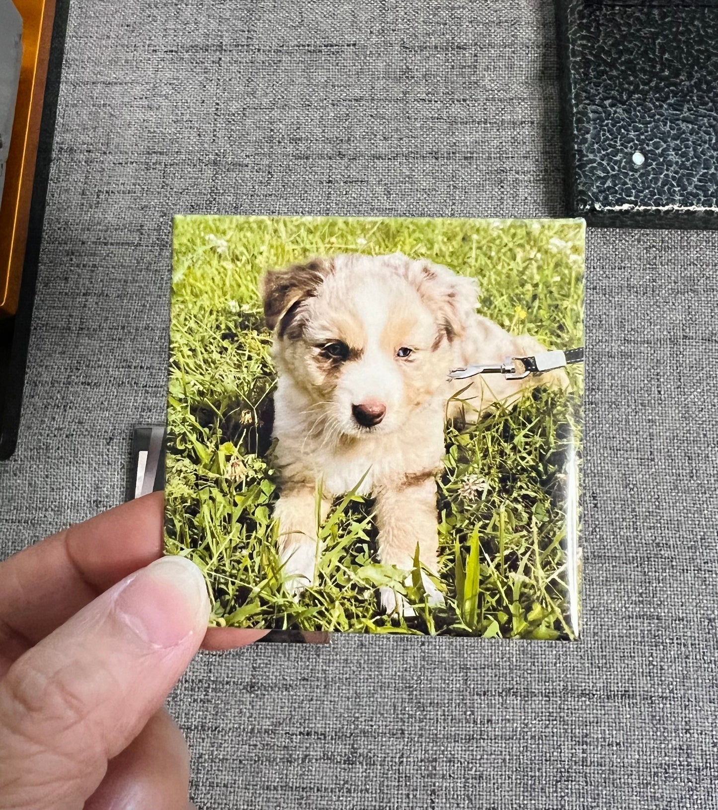 3x Custom Photo Magnets