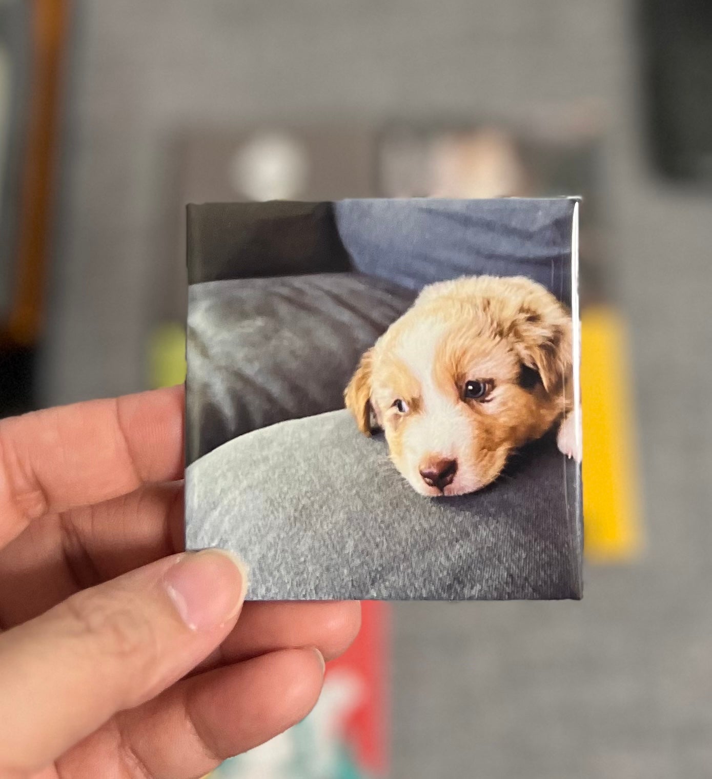 6x Custom Photo Magnets