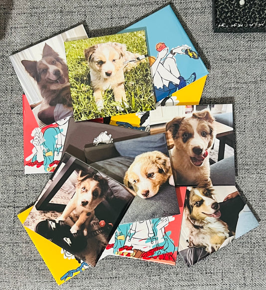 12x Custom Photo Magnets